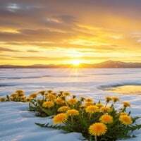 Crystalline