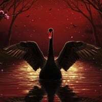 Black Swan